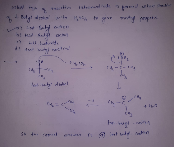 intermed rate is formed when reaction Mason to give methyl propene what type of reactive cept Butyl alcohol with a) test -But