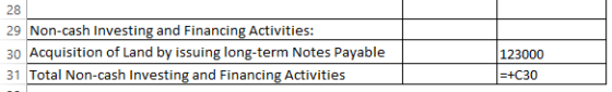 28 29 Non-cash Investing and Financing Activities: 30 Acquisition of Land by issuing long-term Notes Payable 123000 31 Total