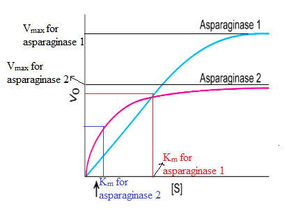 Asparaginase 1 Vmax for asparaginase 1 Vmax for asparaginase 2 Asparaginase 2 Km for asparaginase 1 Ki for Jasparaginase 2 (S
