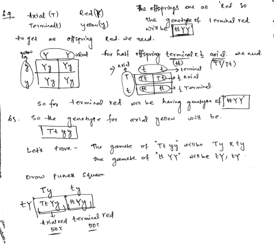 one a Red So Terminalty3 Maus ermine? 2- 65 So -eaen* Les frove game钯叶.tt YY. 戙be tY.tY A ia) ved terminal red