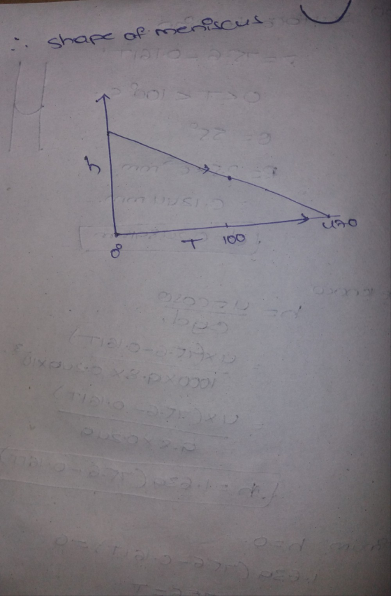 shape of meniscus 107 DS + 100