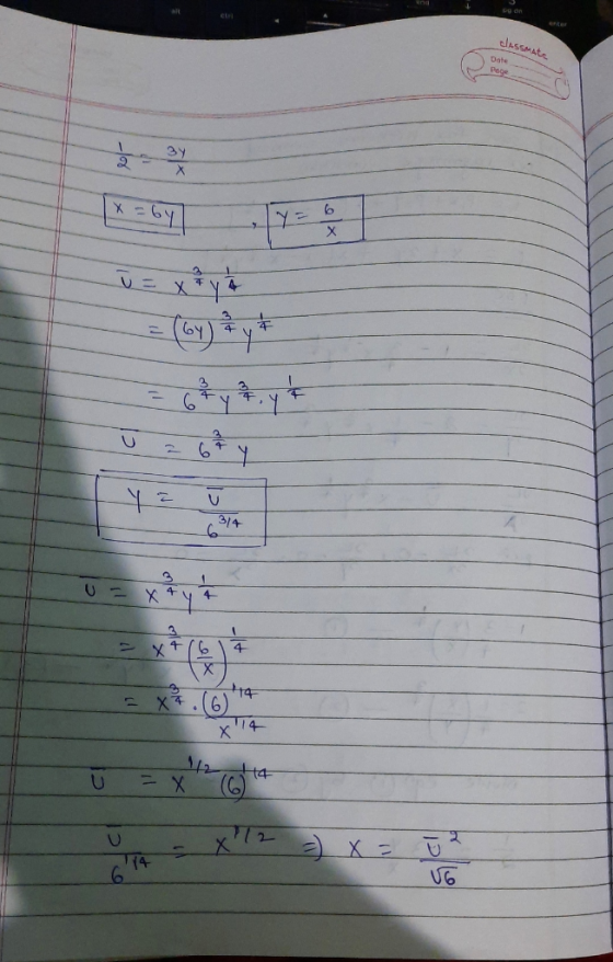 RASSMALL | 6 - कप 41614 NP UG