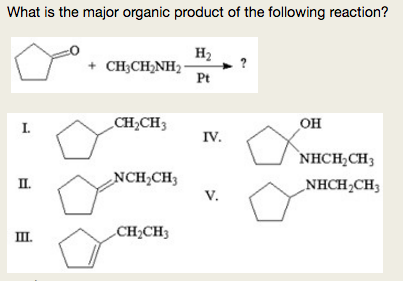 What is the major organic product of the following