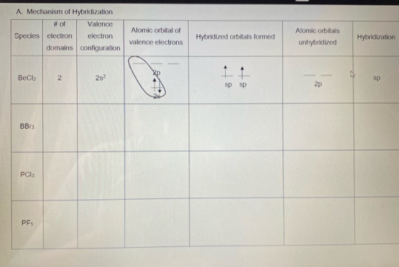 A. Mechanism of Hybridization # of Valence Species electron electron domains configuration Atomic orbital of valence electron