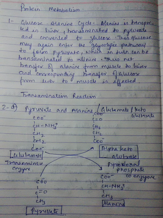 may agal io entes the ne in be hars . bamaminakison Raad CH NH3 CH 12 Let 2. -그21 p hosphat C a で00 Man 내