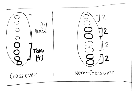 Black (00000000 00000000 Crossover Non-Crossover
