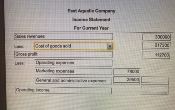 East Aquatic Company Income Statement For Current Year Sales revenues 330000 217300 112700 Less: Cost of goods sold Gross pro