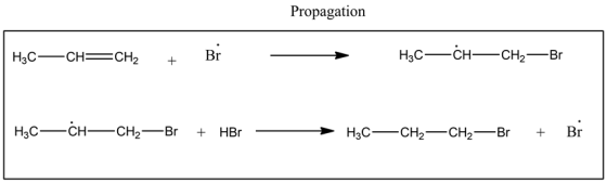 Propagation
Нас — СH—СH2— Br
Br
Hас — СH—CH
Нас — сн—сH-— Br
Br
HBr
Hас — сн.—сH,— Br