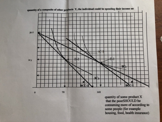quantity of a composite of other products Y, the individual could be spending their income on 28 Y 14 TX 16X quantity of some