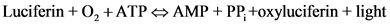 Luciferin +0, +ATP
AMP + PP: +oxyluciferin + light