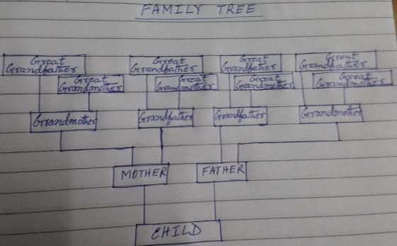 FAMLLY TREE hes and FATHER MOTHER CHILD