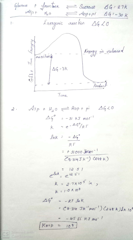 Glucose + fructose - Alpt Hao Exergonic - Sucrose AG:27k Appapi AG=-30k creaction AG 20 Energ -- - - Energy eis ereleased F