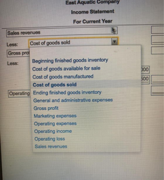 East Aquatic Company Income Statement For Current Year Sales revenues Less: Cost of goods sold Gross pro Less: Beginning fini