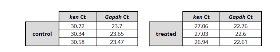 ken Ct 30.72 30.34 30.58 Gapdh Ct 23.7 23.65 23.47 ken Ct 27.06 27.03 26.94 | Gapdh Ct 22.76 22.6 22.61 control treated