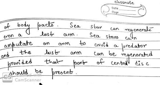 classmate Date Page e body even a foarts. Sea lost arm. an arm to lost arm that part abutate a the brovided amputate and the