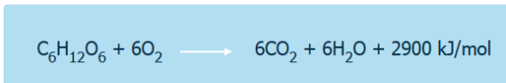H12 %+ 60 6CO2 +6H20 + 2900 kJ/mol