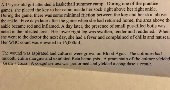 A 15-year-old girl attended a basketball summer camp. During one of the practice games, she placed the key to her cabin insid