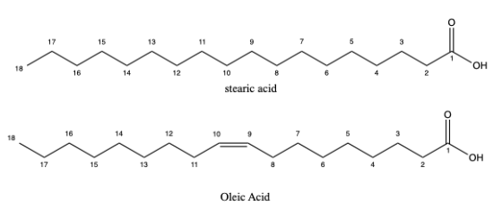 ننتتتت stearic acid 18 16 14 12 و 10 ? OH | Oleic Acid