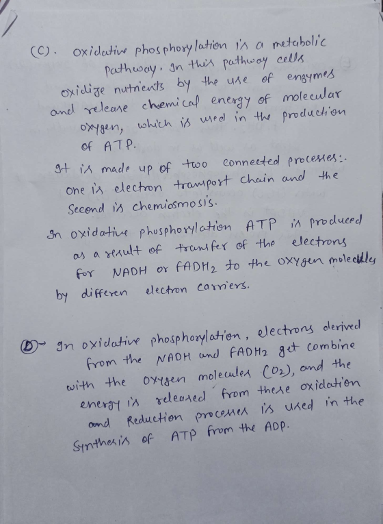 (C). oxidative phosphorylation is a metabolic Pathway, in this pathway cells oxidize nutrients by the use of enzymes and rele