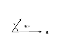 % 5 50° B