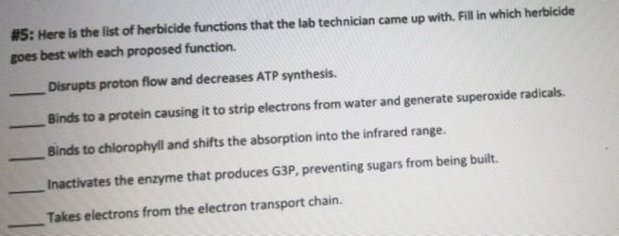 #5: Here is the list of herbicide functions that the lab technician came up with. Fill in which herbicide goes best with each