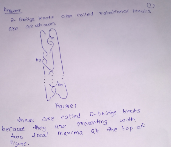 An 2- Boidge knots atso called sobalbiona nsl- Gse as shocon by b2 bn hese se catled 6idge Knobs ecouse he apesenting width Agute oca maima qt the op of