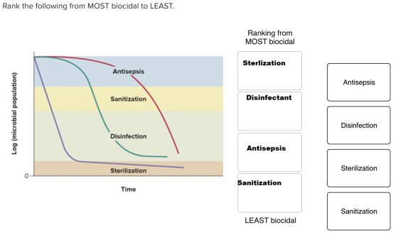 Rank the following from MOST biocidal to LEAST. Ranking from MOST biocidal Sterlization Antisepsis Antisepsis Sanitization Di