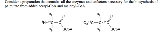 Consider a preparation that contains all the enzym
