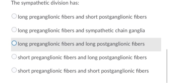 The sympathetic division has: Olong preganglionic fibers and short postganglionic fibers Olong preganglionic fibers and sympa