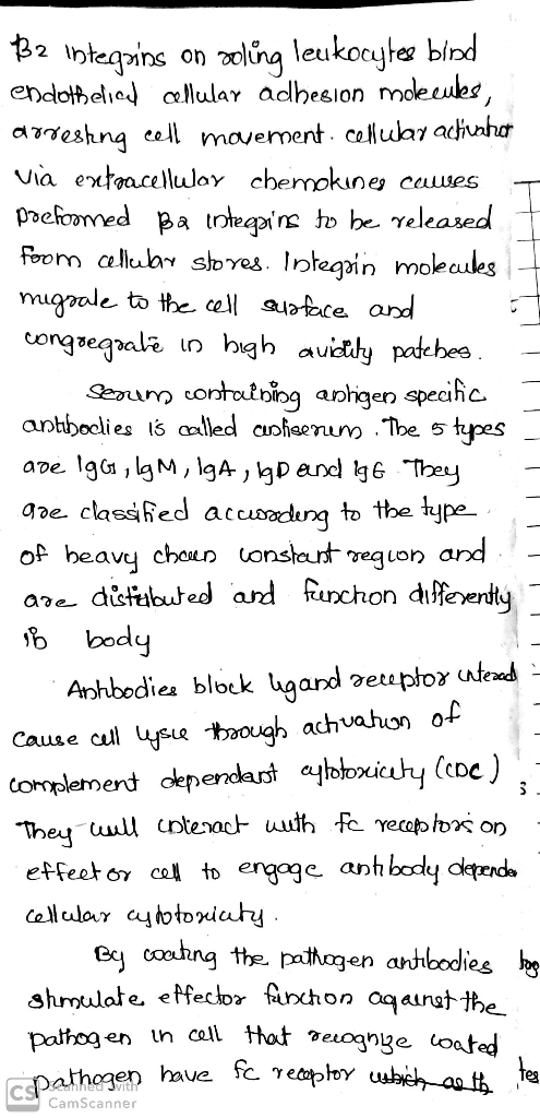 B2 Intequins on poling leukocytes bird endothelial cellular adhesion molecules, doreshng cell movement. cellular activator vi