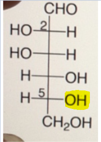 CHO НО-2-н НО -н НЕОН н 5-ОН CH2OH