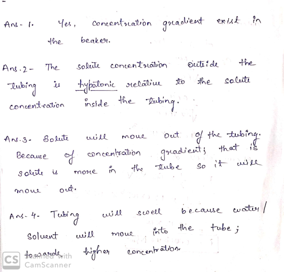 Ans. gradient exist in Yes, concentration the beaker Ans. 2- The Tubing is concentration solute concentration hypotonic relat