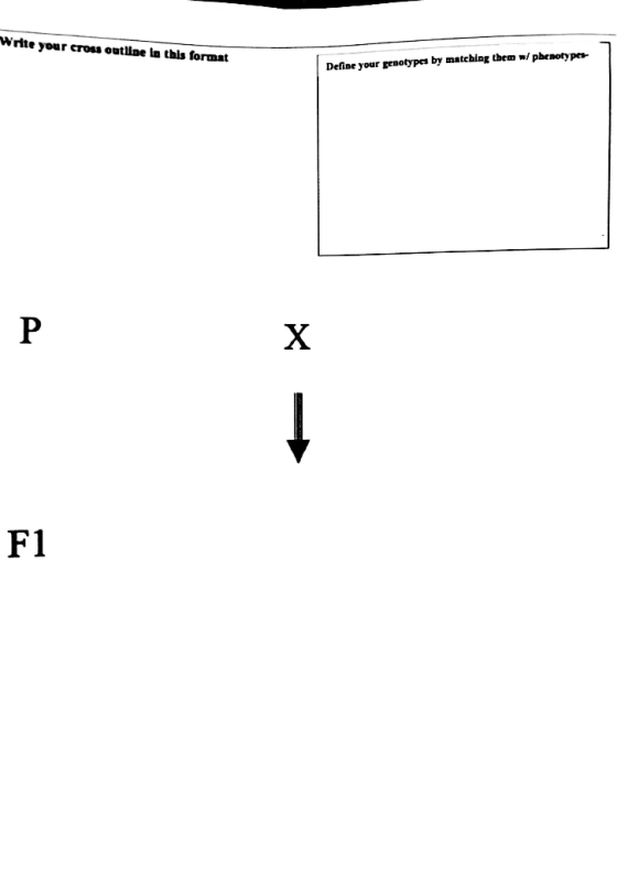 Write your cross outline in this format Define your genotypes by matching them w/ phenoty pes X F1