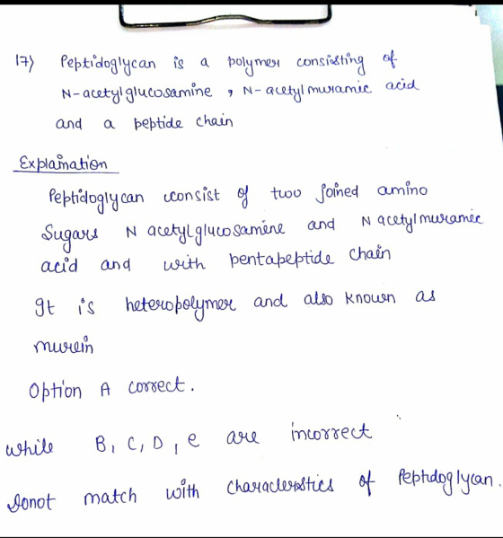 17) Peptidoglycan is a polymer consitting of N-acetyl glucosamine , N-acetyl mwramic acid peptide chain and Nacetyl muramic E