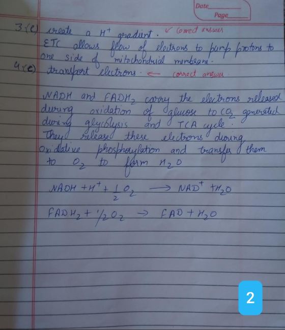 Date Page 3re create Correct answer ант gradient. correct answer TCA ETC allows flow of electrons to pump protons to one side