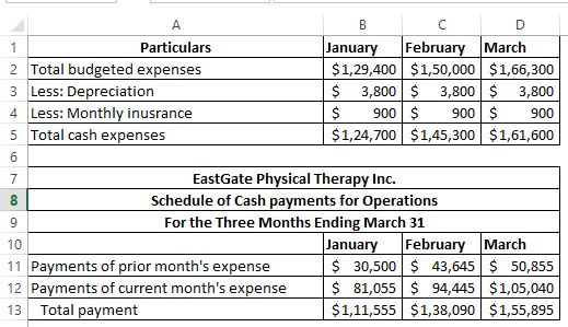 Particulars 2 Total budgeted expenses 3 Less: Depreciation 4 Less: Monthly inusrance 5 Total cash expenses January February M