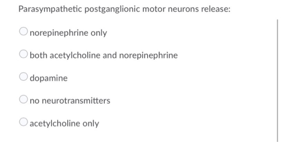 Parasympathetic postganglionic motor neurons release: Onorepinephrine only O both acetylcholine and norepinephrine dopamine O