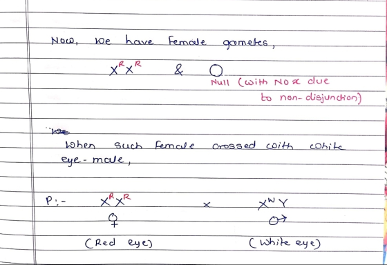 Now, we have Femde gomeles, XRxR & o. Null (with No a due to non-disjunchion) female crossed with cohita When such eye - male