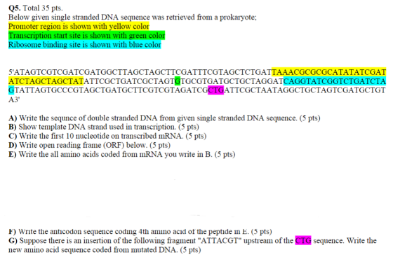 Q5. Total 35 pts. Below given single stranded DNA sequence was retrieved from a prokaryote; Promoter region is shown with yel