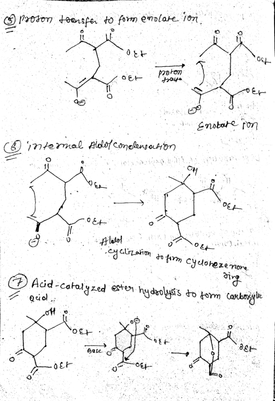 ) profon townsfer to form emolare ion proron traiga . Enotate in ritermal Aldol condensation ER #lololi eyalization to form c
