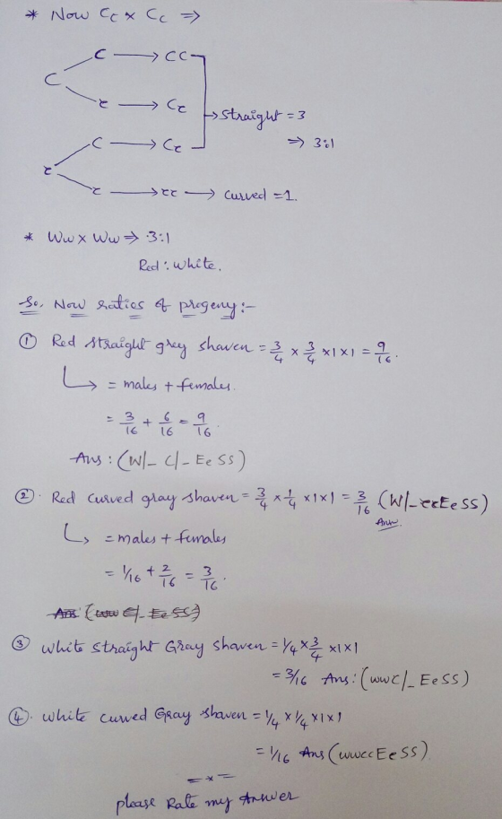 * Now Cat C => | C ºCc7. & le straight = 3 - 381 e curved =1. * Wwx ww 3:1 Red: white. So, now ratios of progeny :- Red Strai