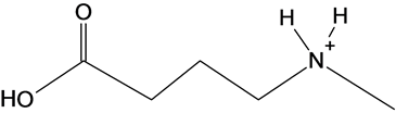 Ho