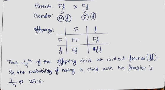 Parents: Ff X Ff Qameter : Bo @ offprings: I F If F FF I FI Jl Al 1 Aff Thus, I the of the offspring child are without freckl