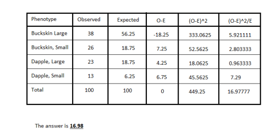 Phenotype Observed Expected O-E (O-E)^2 (0-E)^2/E Buckskin Large 38 56.25 -18.25 333.0625 5.921111 Buckskin, Small 26 18.75 7