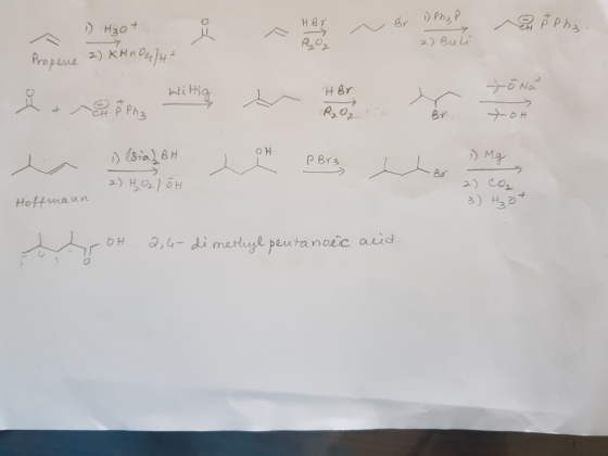 Br DPh3 P Ha0 + Propene Na H Br Phs Rs0r + BY sial&H Br 2) Cor 3) H3 Hoftmaun 2,4-dimetiyl peutanoeic auid