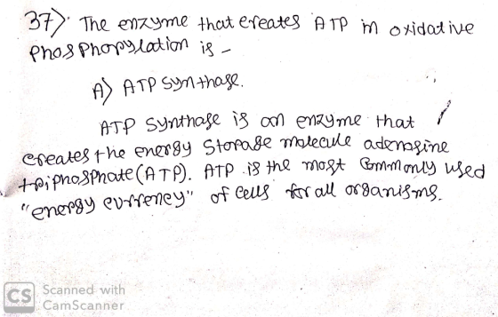 37. The enzyme that creates ATP in oxidative Phos Phopylation is - A) ATP synthase. ATP synthase is an enzyme that Creates th