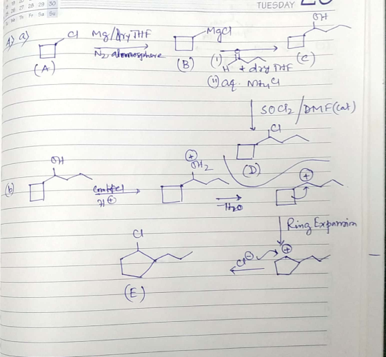20 28 2 27 TUESDAY 2 26 Fr Sa s 07 We Th a) a -Mgt Mg/dry THE Ny alomosphere H & dry THE (C) aq. Nitya Soch/DMF (Cat) Coathel