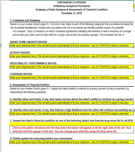EARTHWEAR CLOTHIERS Preliminary Analytical Procedures Summary of Ratio Analyses & Assessment of Financial Condition December
