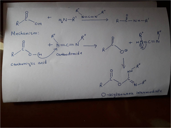 1 - HN-R N=C=N HN-R RENHAR - NH OH Mechanism: + HA=c=N + - 7 N = = N carbodimide R R - ( carboscylic acid NH - R N-R O-ac
