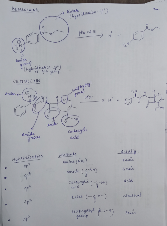 BEN ZOCAINE > Ester Chybridisation - spl) pka = 2:51 h + group Amine Chybridisation=sp3) I of NH3 group CE PHALEXIN marine pa
